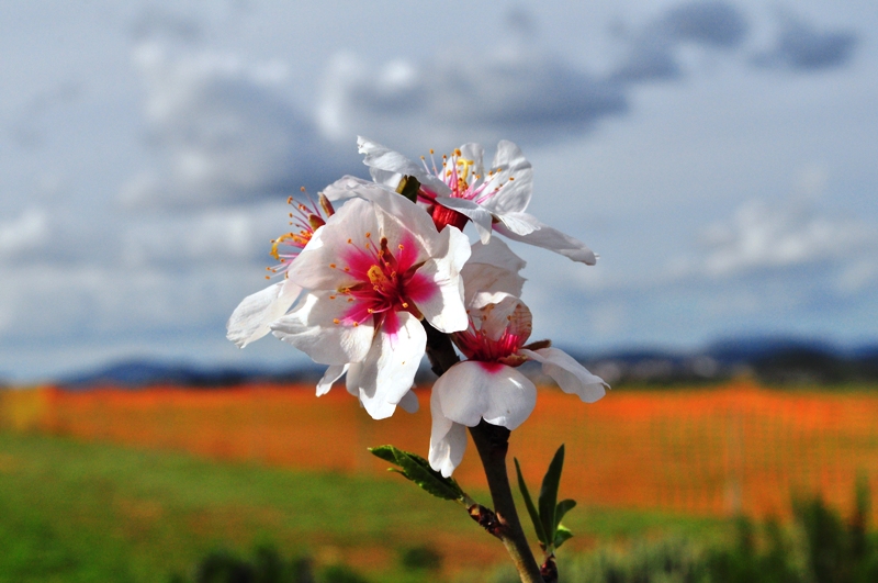 ����� ���� ��� �� ����� ��� ������ �� ������ �������