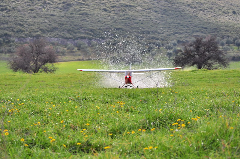 ����� ���� ��� �� ����� ��� ������ �� ������ �������