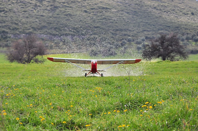 ����� ���� ��� �� ����� ��� ������ �� ������ �������