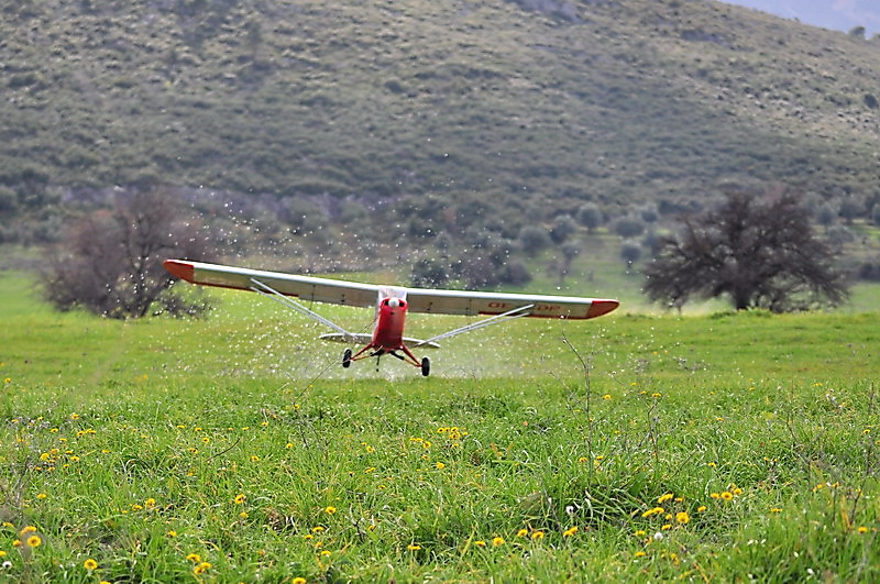 ����� ���� ��� �� ����� ��� ������ �� ������ �������