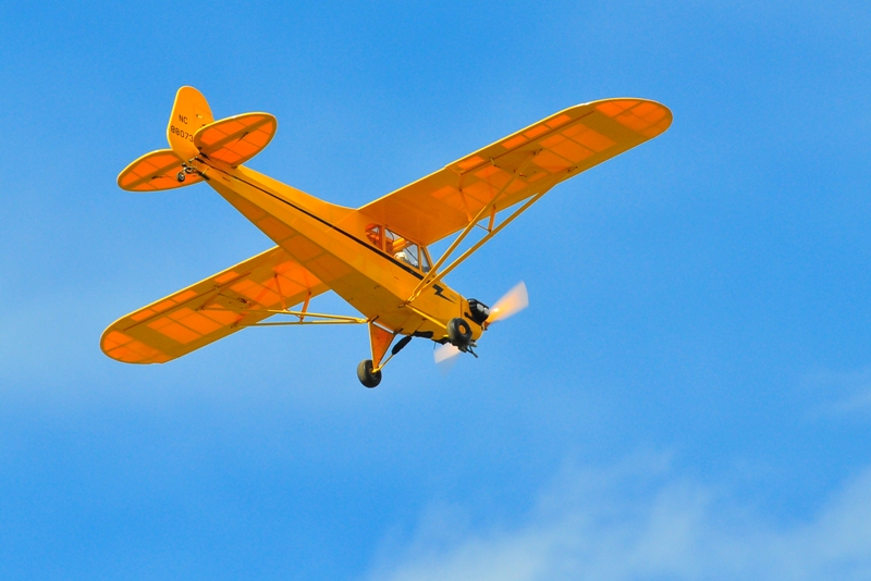 ����� ���� ��� �� ����� ��� ������ �� ������ �������