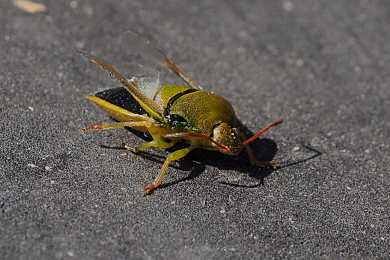 ����� ���� ��� �� ����� ��� ������ �� ������ �������