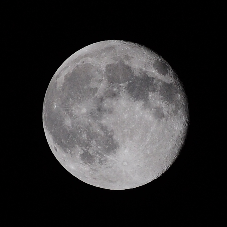 ����� ���� ��� �� ����� ��� ������ �� ������ �������