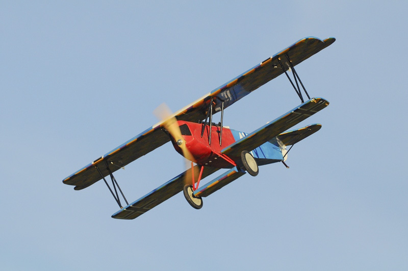 ����� ���� ��� �� ����� ��� ������ �� ������ �������