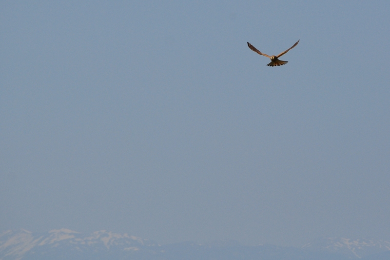 ����� ���� ��� �� ����� ��� ������ �� ������ �������