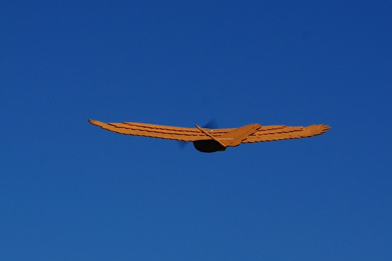 ����� ���� ��� �� ����� ��� ������ �� ������ �������