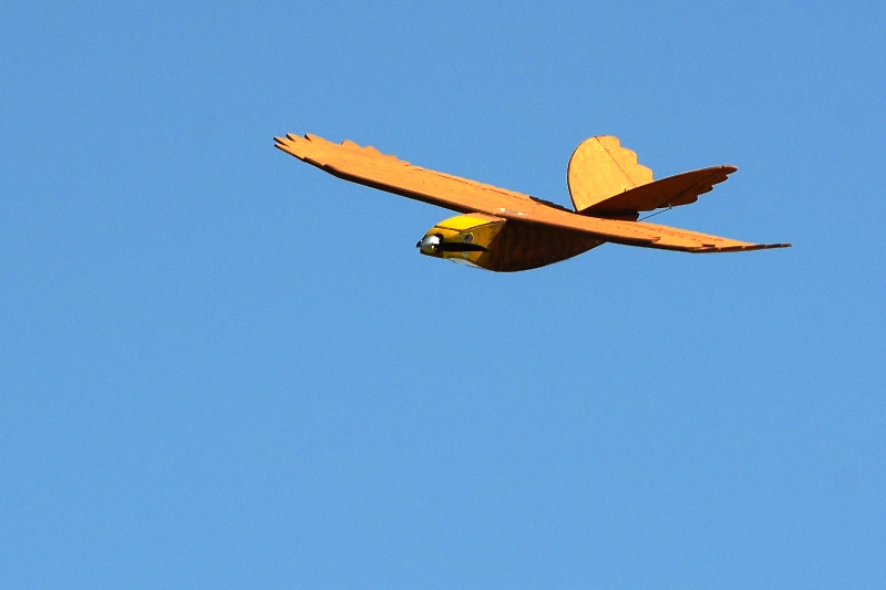 ����� ���� ��� �� ����� ��� ������ �� ������ �������