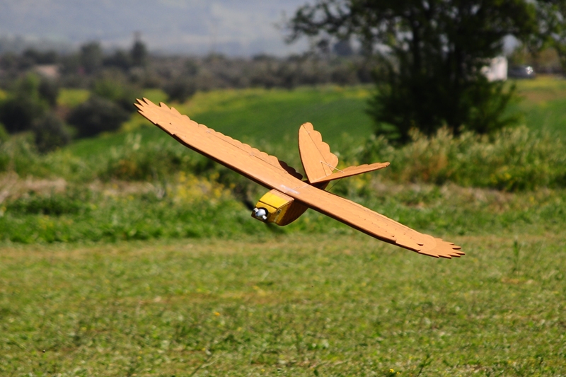 ����� ���� ��� �� ����� ��� ������ �� ������ �������