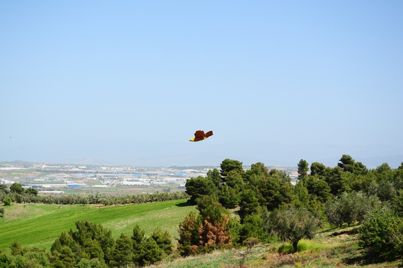 ����� ���� ��� �� ����� ��� ������ �� ������ �������