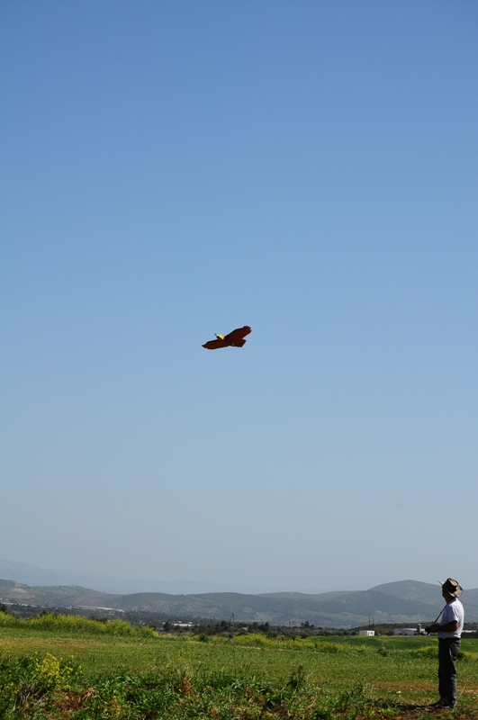 ����� ���� ��� �� ����� ��� ������ �� ������ �������