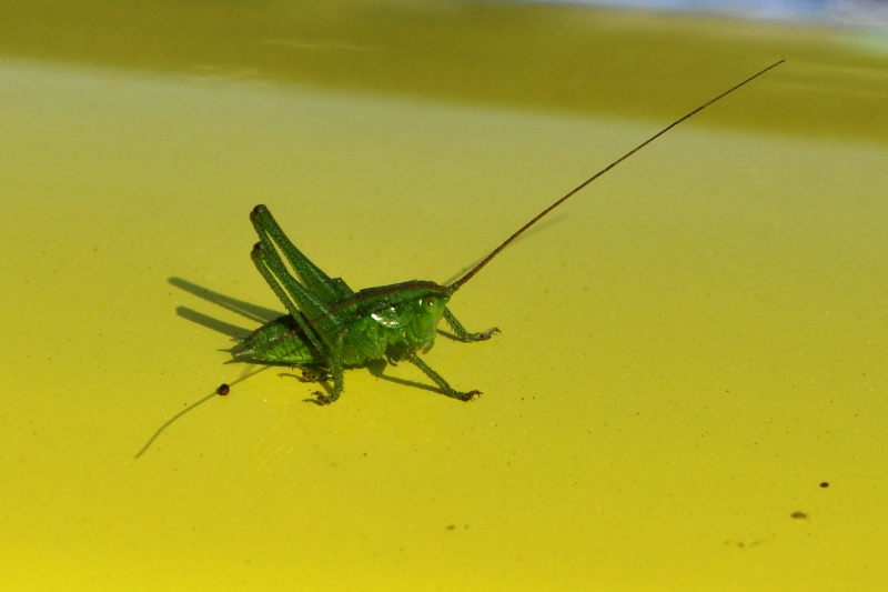 ����� ���� ��� �� ����� ��� ������ �� ������ �������