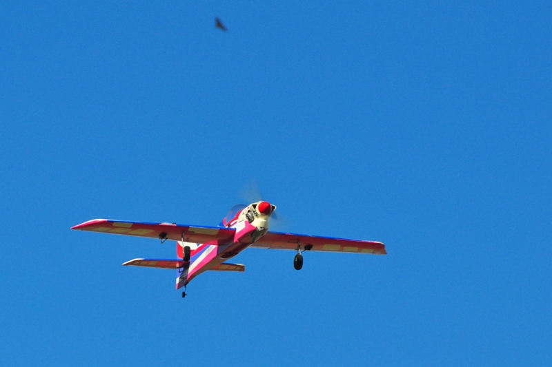 ����� ���� ��� �� ����� ��� ������ �� ������ �������