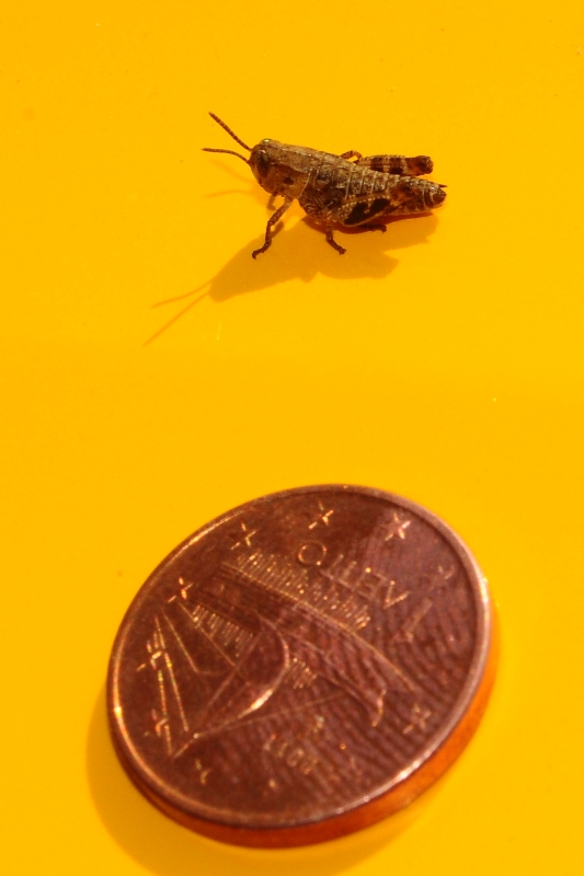 ����� ���� ��� �� ����� ��� ������ �� ������ �������