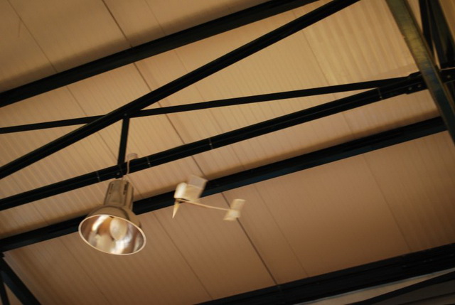 ����� ���� ��� �� ����� ��� ������ �� ������ �������