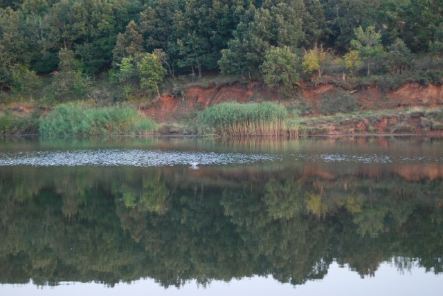 ����� ���� ��� �� ����� ��� ������ �� ������ �������