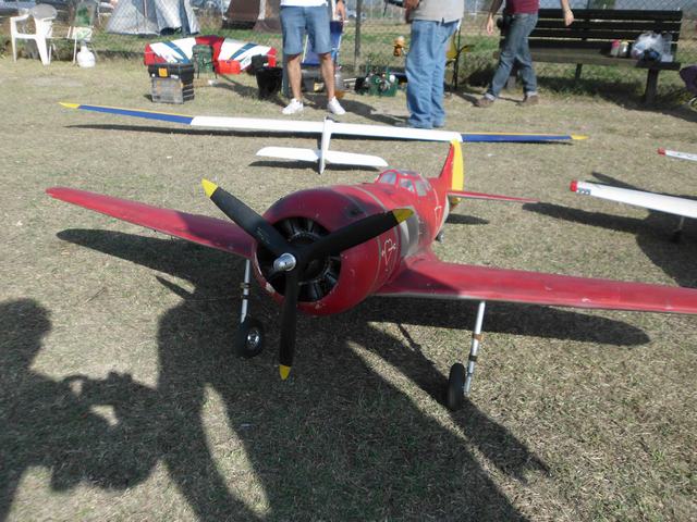 ����� ���� ��� �� ����� ��� ������ �� ������ �������