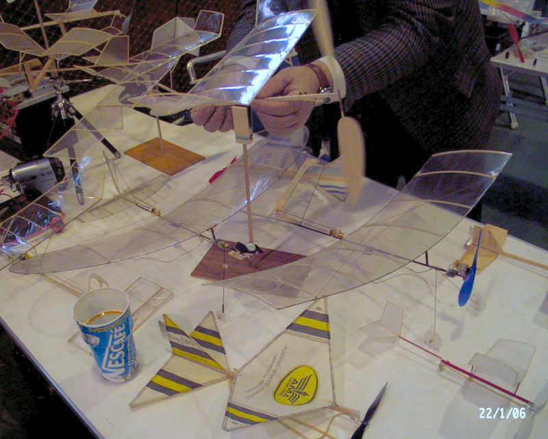 ����� ���� ��� �� ����� ��� ������ �� ������ �������