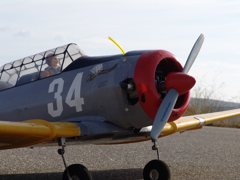 ����� ���� ��� �� ����� ��� ������ �� ������ �������