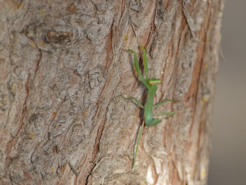 ����� ���� ��� �� ����� ��� ������ �� ������ �������