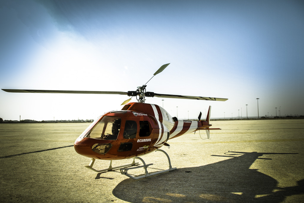 ����� ���� ��� �� ����� ��� ������ �� ������ �������