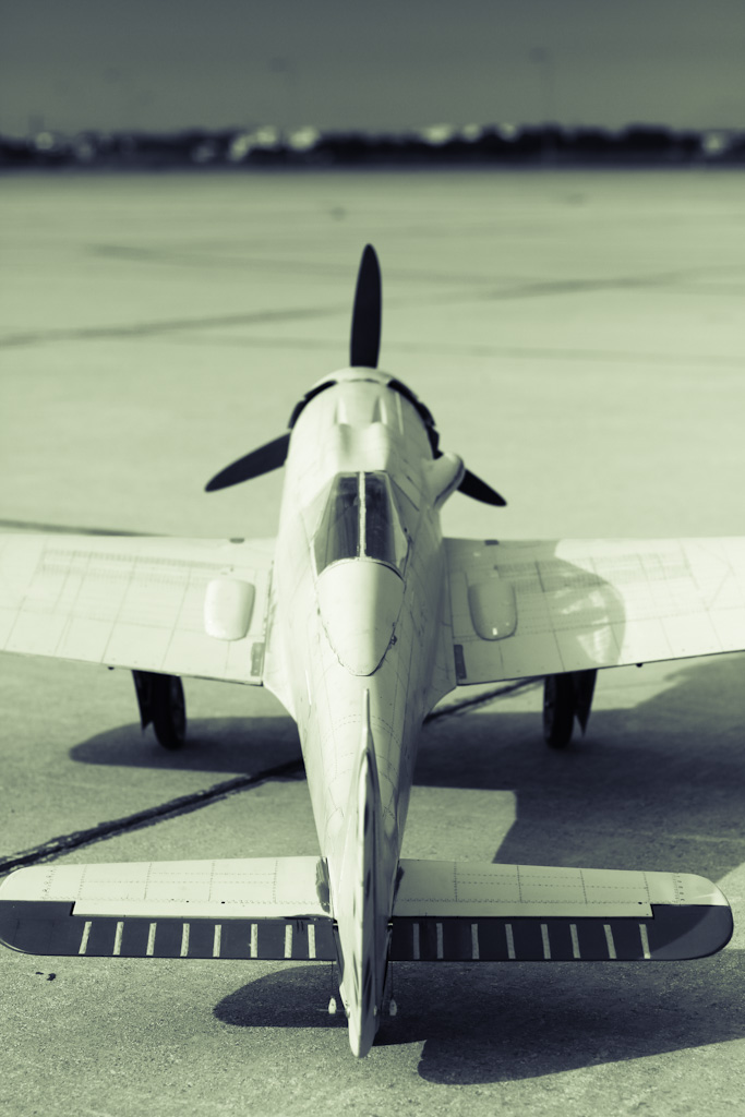 ����� ���� ��� �� ����� ��� ������ �� ������ �������