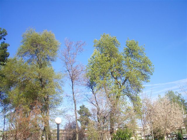 ����� ���� ��� �� ����� ��� ������ �� ������ �������