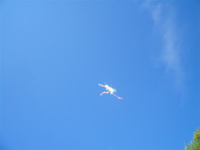 ����� ���� ��� �� ����� ��� ������ �� ������ �������