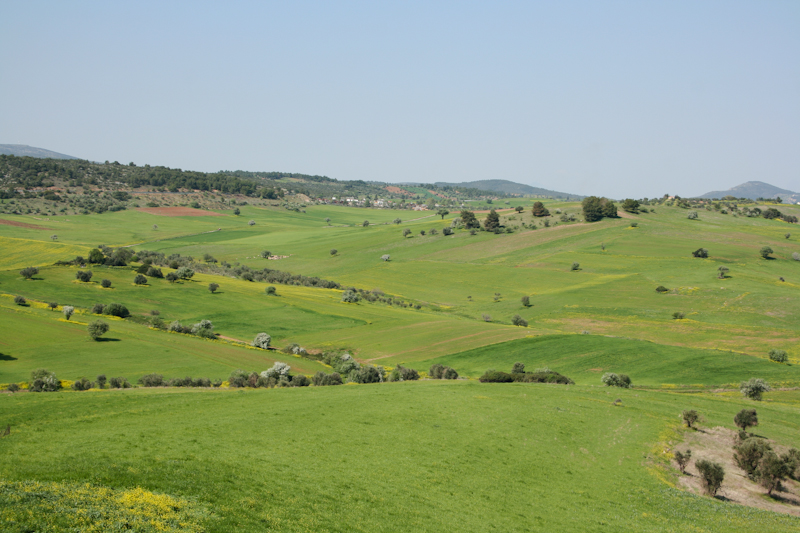 ����� ���� ��� �� ����� ��� ������ �� ������ �������