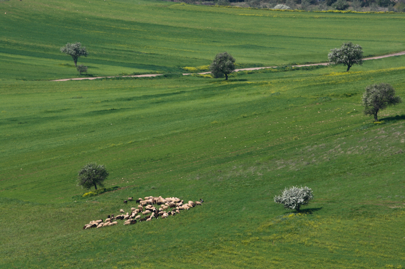 ����� ���� ��� �� ����� ��� ������ �� ������ �������