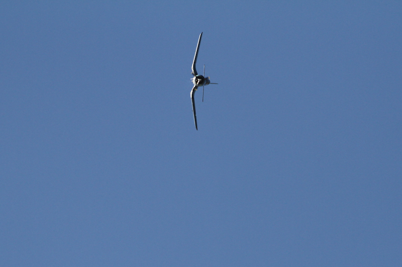 ����� ���� ��� �� ����� ��� ������ �� ������ �������