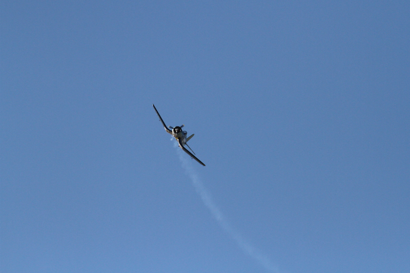 ����� ���� ��� �� ����� ��� ������ �� ������ �������