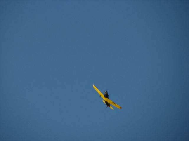 ����� ���� ��� �� ����� ��� ������ �� ������ �������