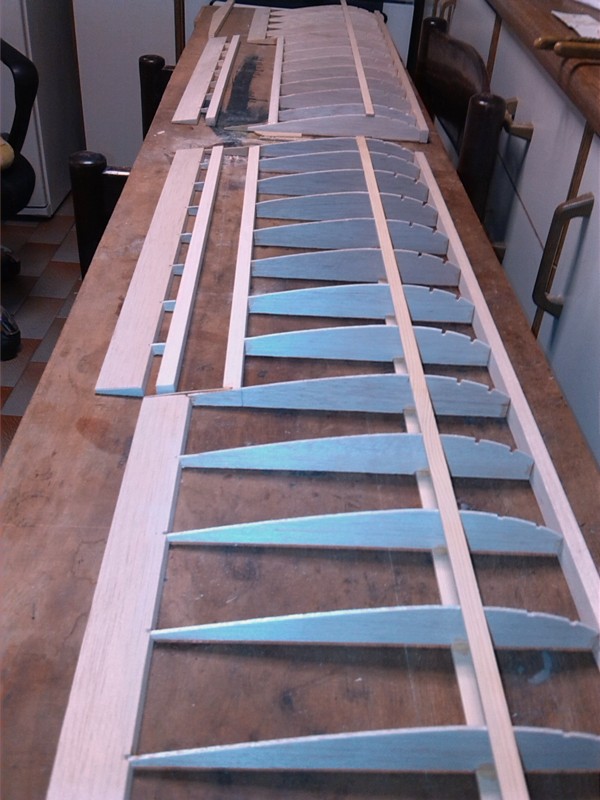 ����� ���� ��� �� ����� ��� ������ �� ������ �������