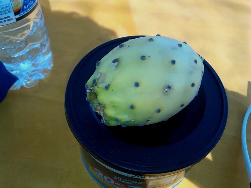 ����� ���� ��� �� ����� ��� ������ �� ������ �������