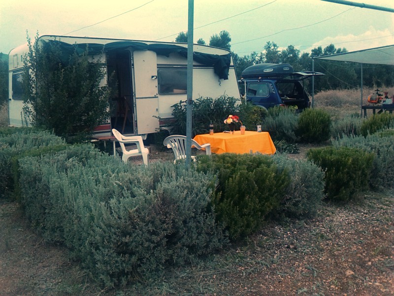 ����� ���� ��� �� ����� ��� ������ �� ������ �������