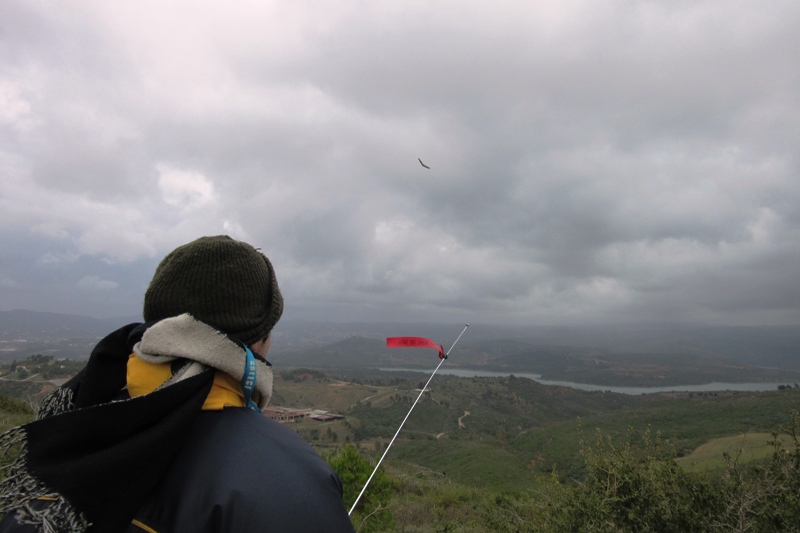 ����� ���� ��� �� ����� ��� ������ �� ������ �������