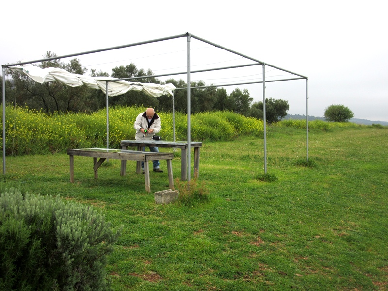 ����� ���� ��� �� ����� ��� ������ �� ������ �������