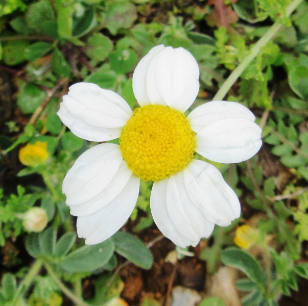 ����� ���� ��� �� ����� ��� ������ �� ������ �������