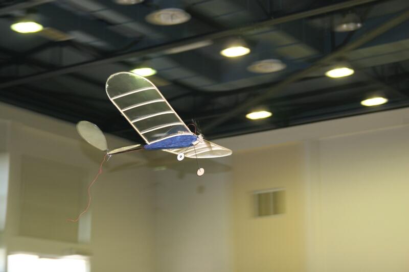 ����� ���� ��� �� ����� ��� ������ �� ������ �������