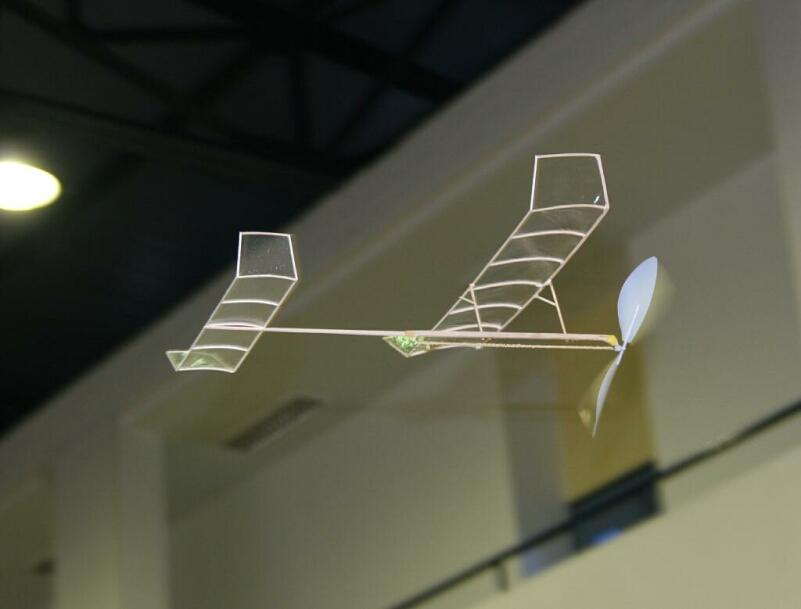 ����� ���� ��� �� ����� ��� ������ �� ������ �������