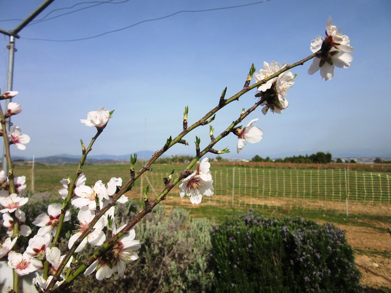 ����� ���� ��� �� ����� ��� ������ �� ������ �������