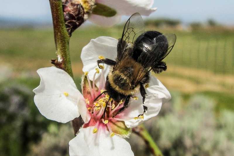 ����� ���� ��� �� ����� ��� ������ �� ������ �������