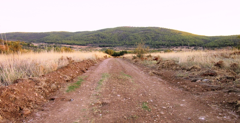 ����� ���� ��� �� ����� ��� ������ �� ������ �������