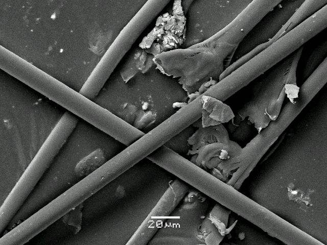 ����� ���� ��� �� ����� ��� ������ �� ������ �������