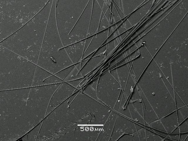 ����� ���� ��� �� ����� ��� ������ �� ������ �������