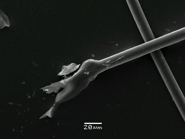 ����� ���� ��� �� ����� ��� ������ �� ������ �������