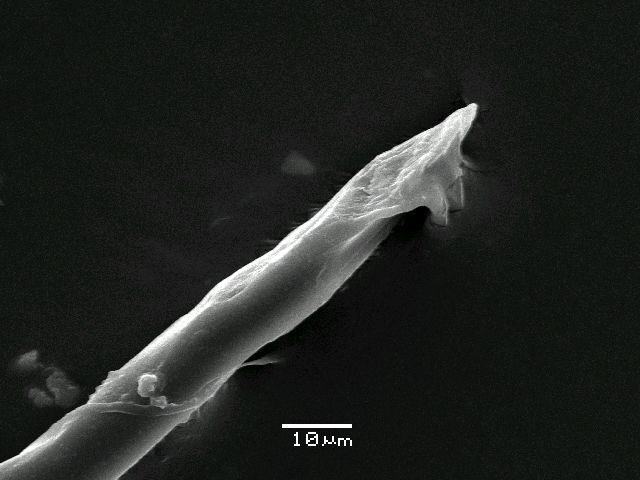 ����� ���� ��� �� ����� ��� ������ �� ������ �������