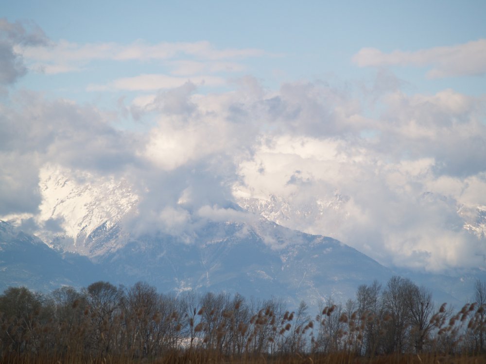 ����� ���� ��� �� ����� ��� ������ �� ������ �������