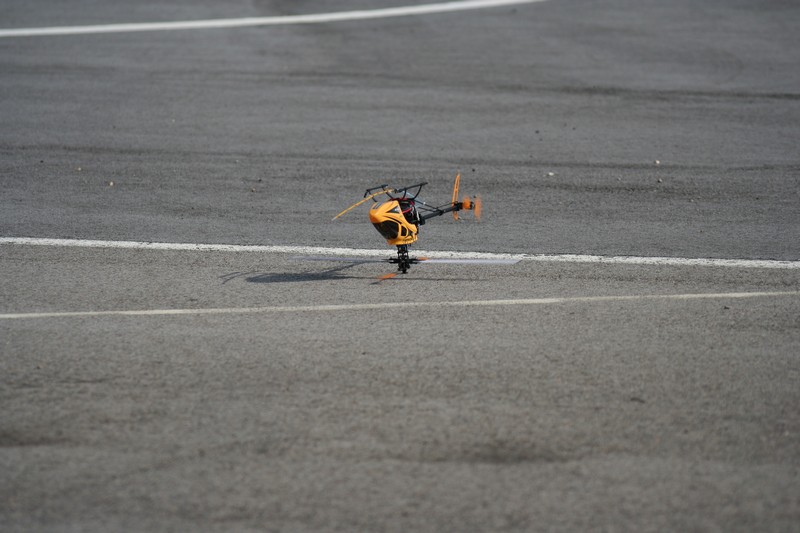 ����� ���� ��� �� ����� ��� ������ �� ������ �������