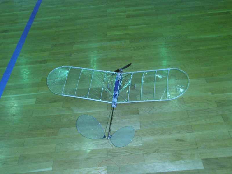 ����� ���� ��� �� ����� ��� ������ �� ������ �������